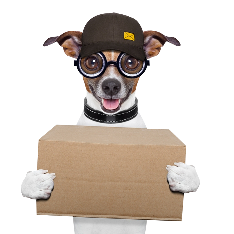 pet mama ve aksesuar veteriner satışı