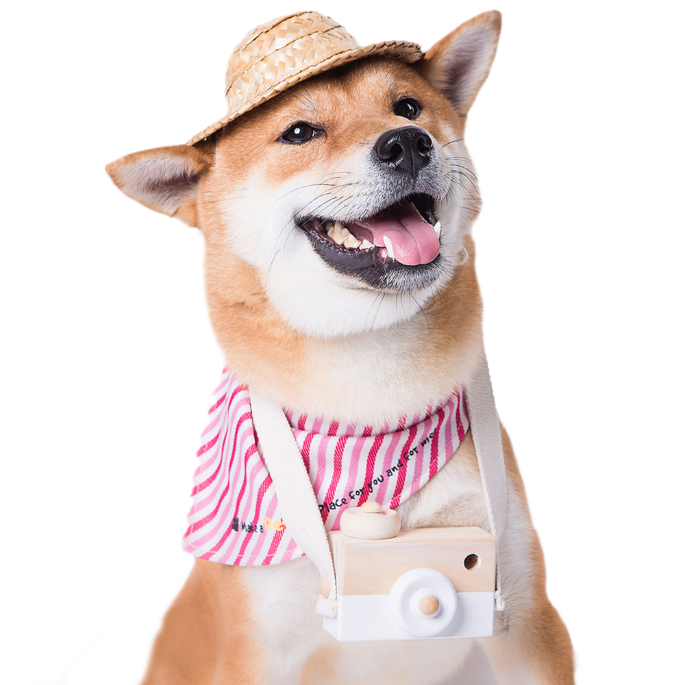 mikro chip uygulaması nedir